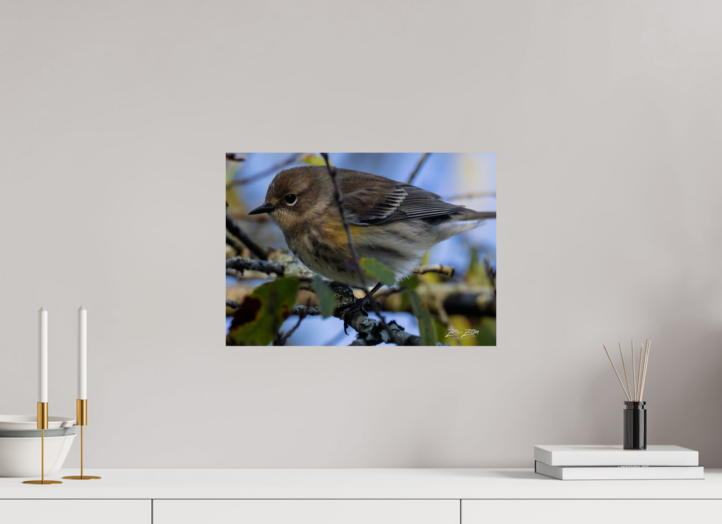16.8 x 12″, Photo Print On Fuji Crystal DP II Zillas Zoom Image 357