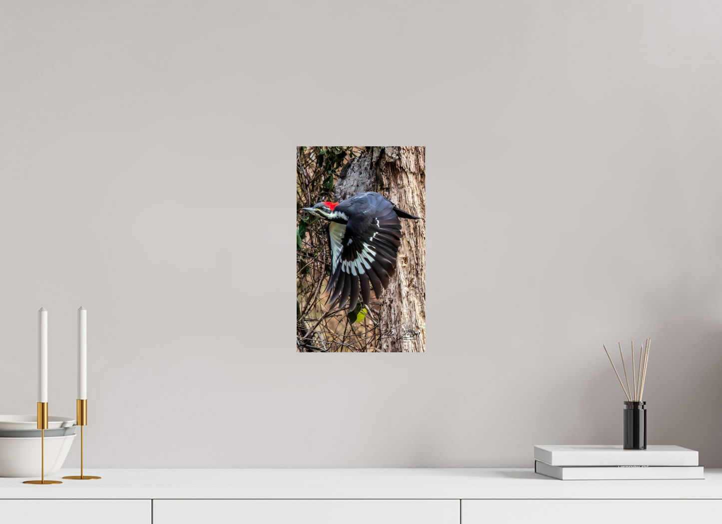 8 x 12.8″, Photo Print On Fuji Crystal DP II Zillas Zoom Image 419