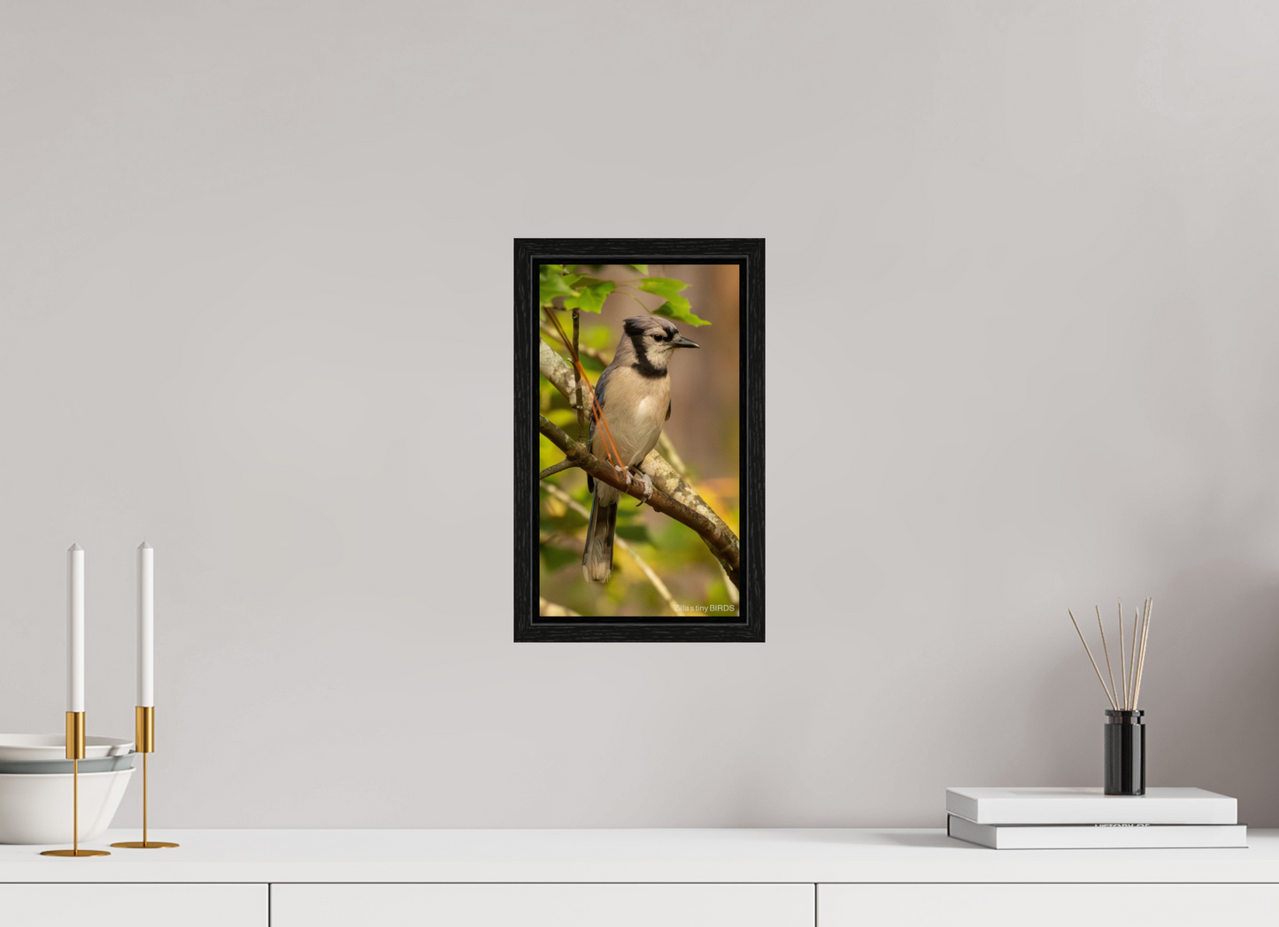 6.8 x 12″, Floater Frame Zillas Zoom Image 491