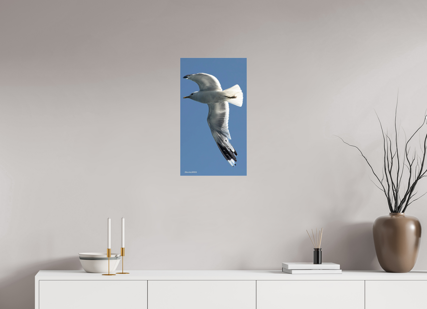 13.5 x 24″, Photo Print Under Acrylic Glass Zillas Zoom Image 465