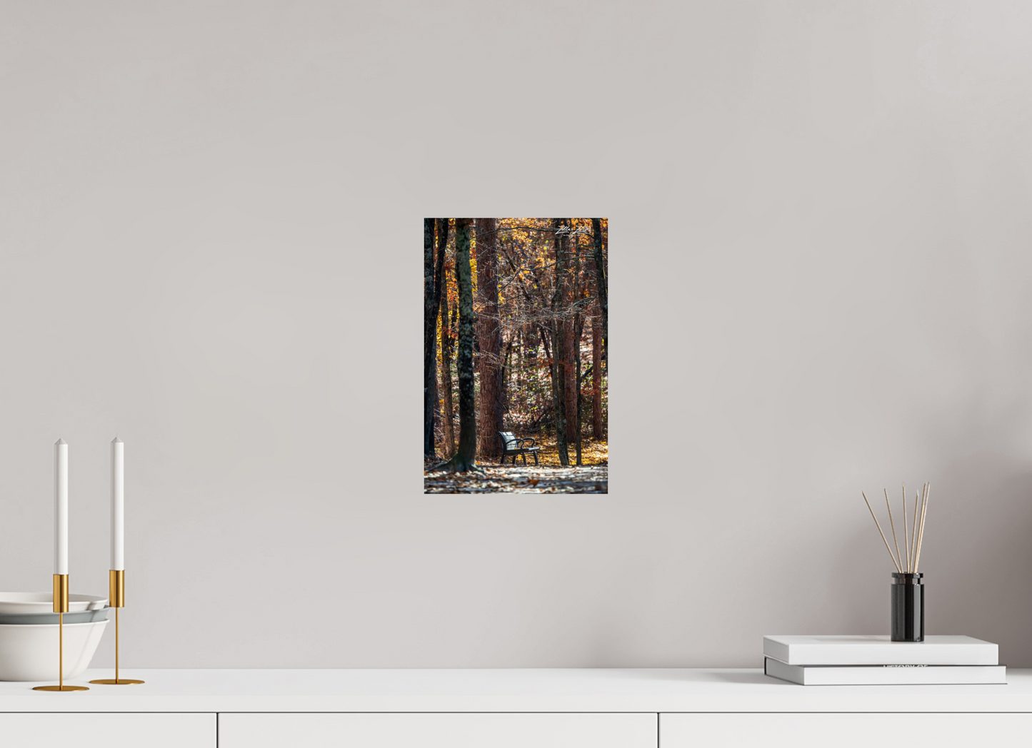8 x 12″, Photo Print On Fuji Crystal DP II Zillas Zoom Image 259