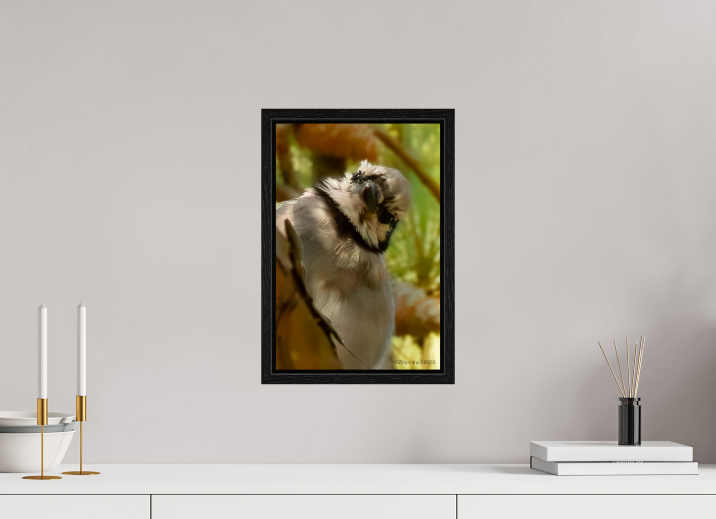 10 x 15″, Floater Frame Zillas Zoom Image 400