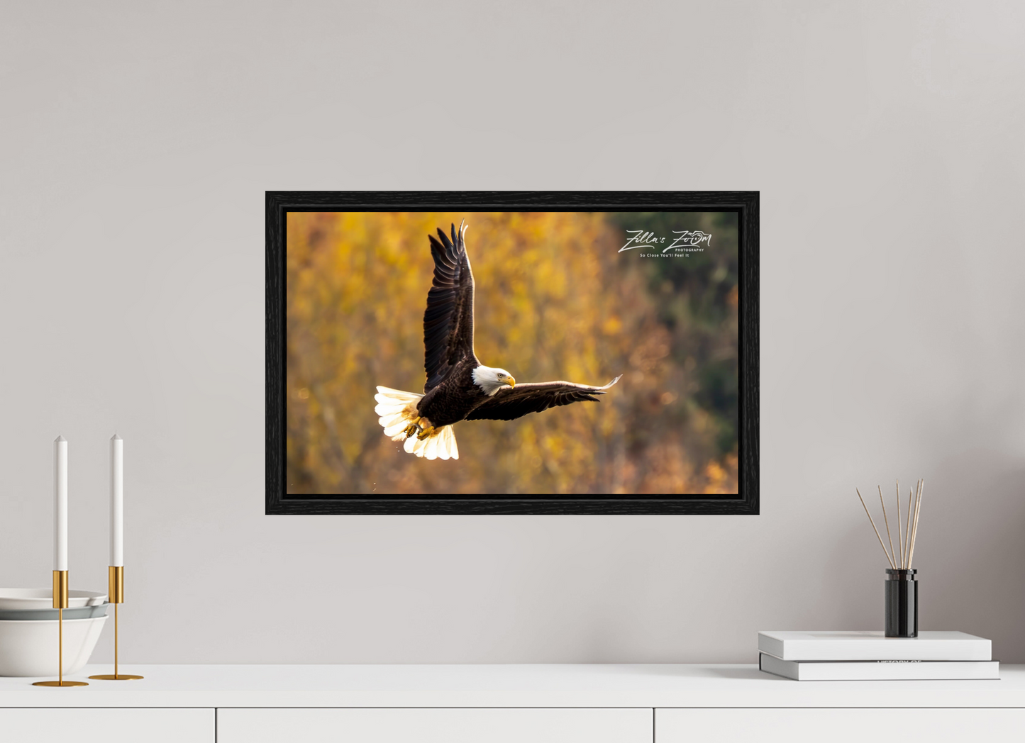 19.2 x 12″, Floater Frame Zillas Zoom Image 272