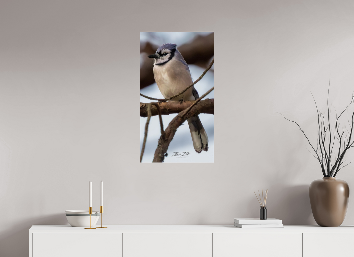 18 x 32″, Photo Print Under Acrylic Glass Zillas Zoom Image 446