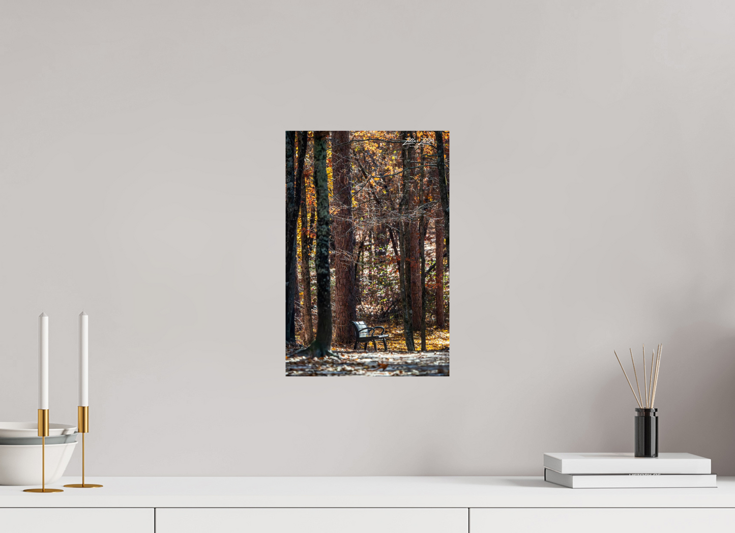 10 x 15″, Photo Print On Fuji Crystal DP II Zillas Zoom Image 259