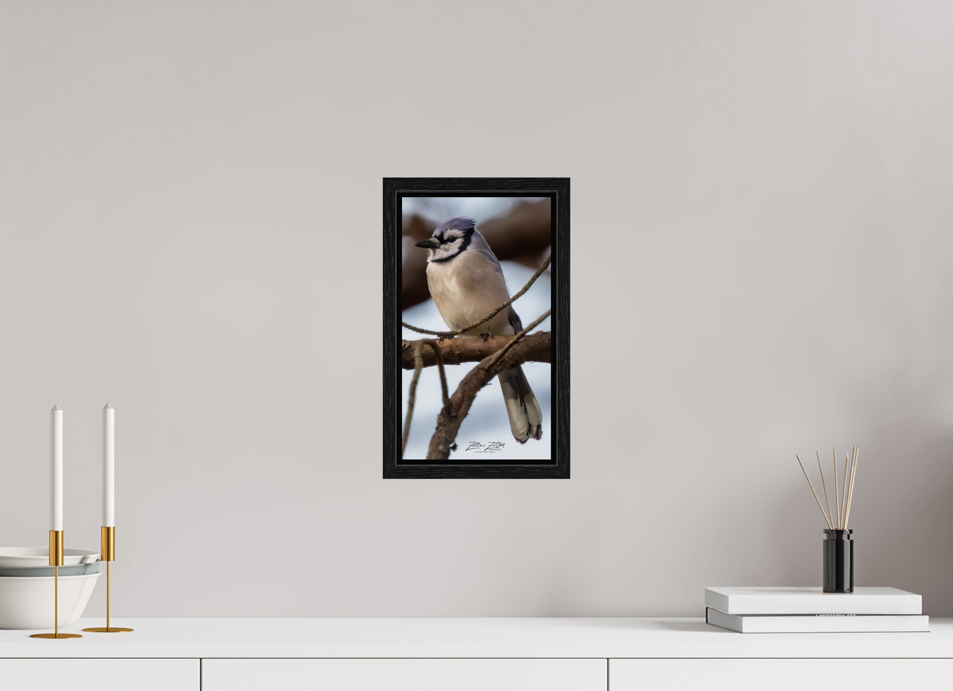 6.8 x 12″, Floater Frame Zillas Zoom Image 446