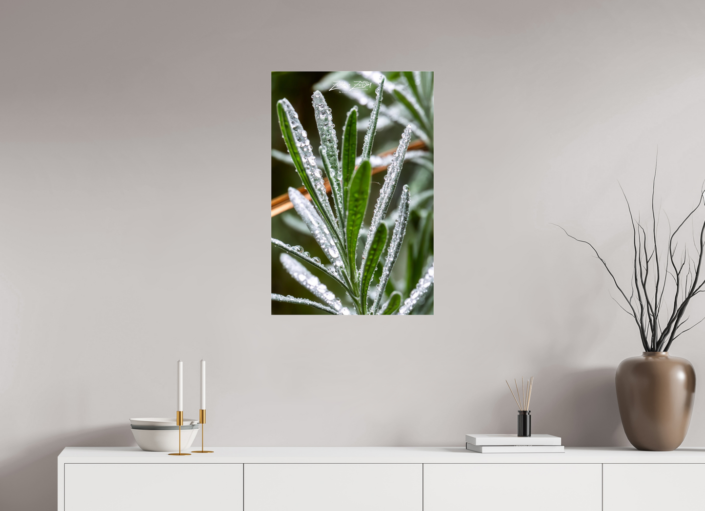 20 x 30″, Photo Print Under Acrylic Glass Zillas Zoom Image 110