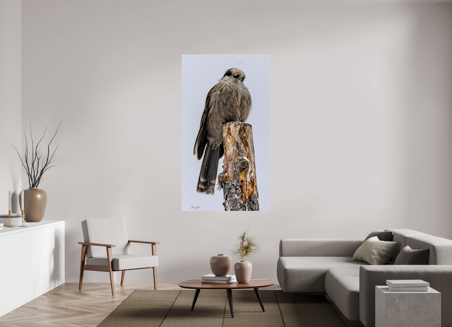 39.4 x 70″, Photo Print Under Acrylic Glass Zillas Zoom Image 464
