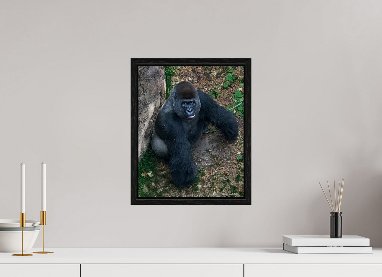 12 x 14.9″, Floater Frame Zillas zoom image 151