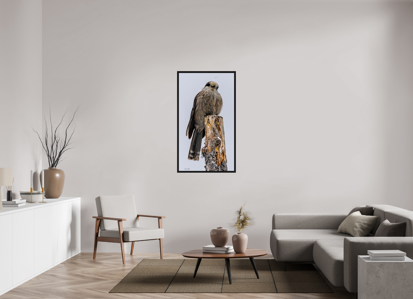 27.6 x 49″, Floater Frame Zillas Zoom Image 464