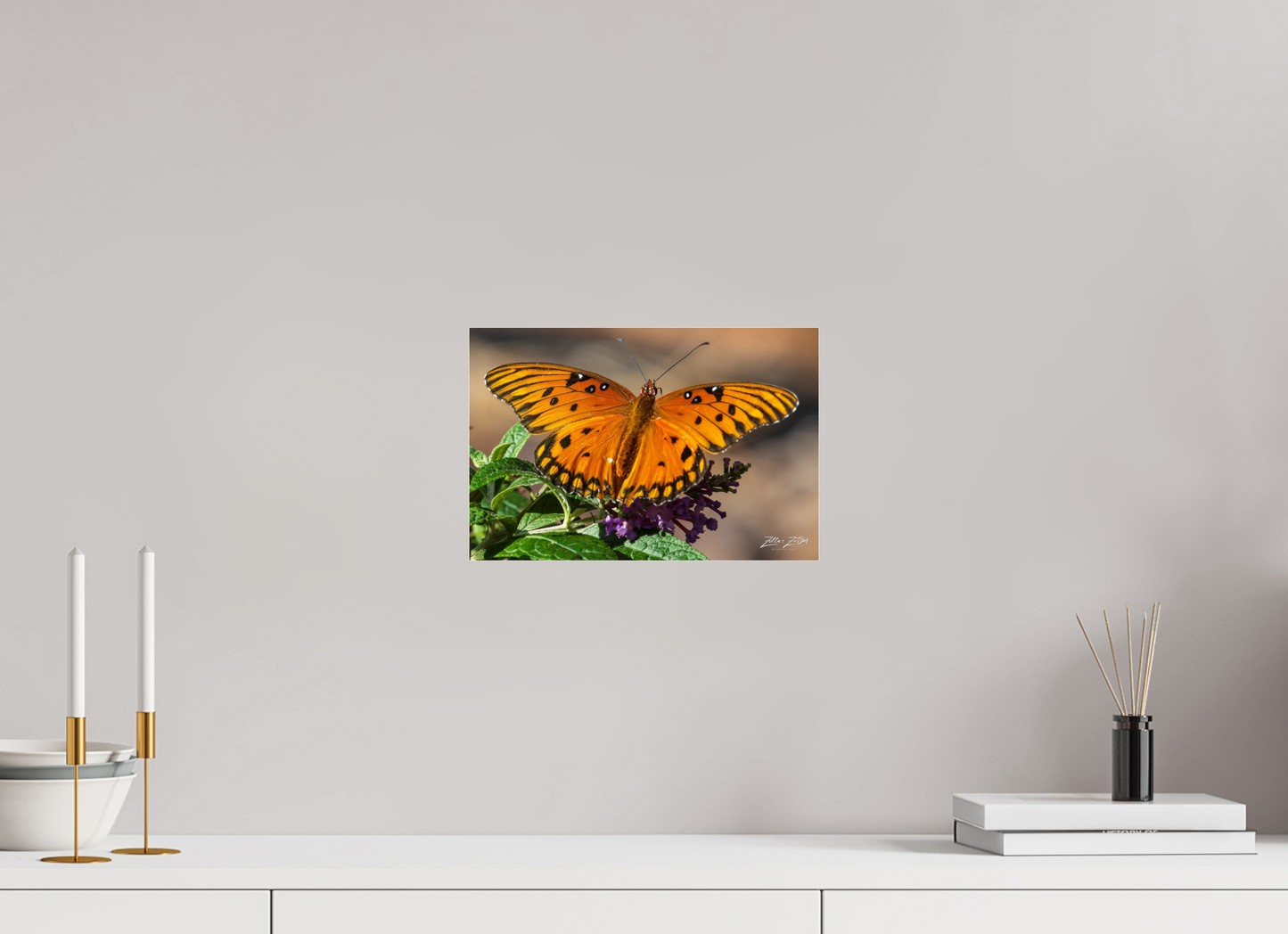 12 x 8″, Photo Print Under Acrylic Glass Zillas Zoom Image 57