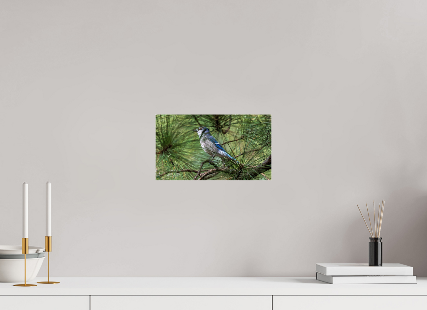 12 x 6.8″, Photo Print Under Acrylic Glass Zillas Zoom Image 344