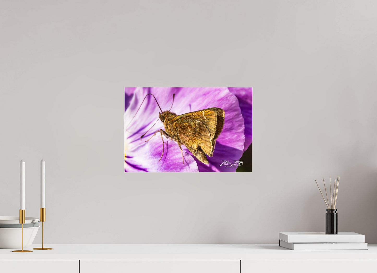 15 x 10″, Photo Print Under Acrylic Glass Zillas Zoom Image 62