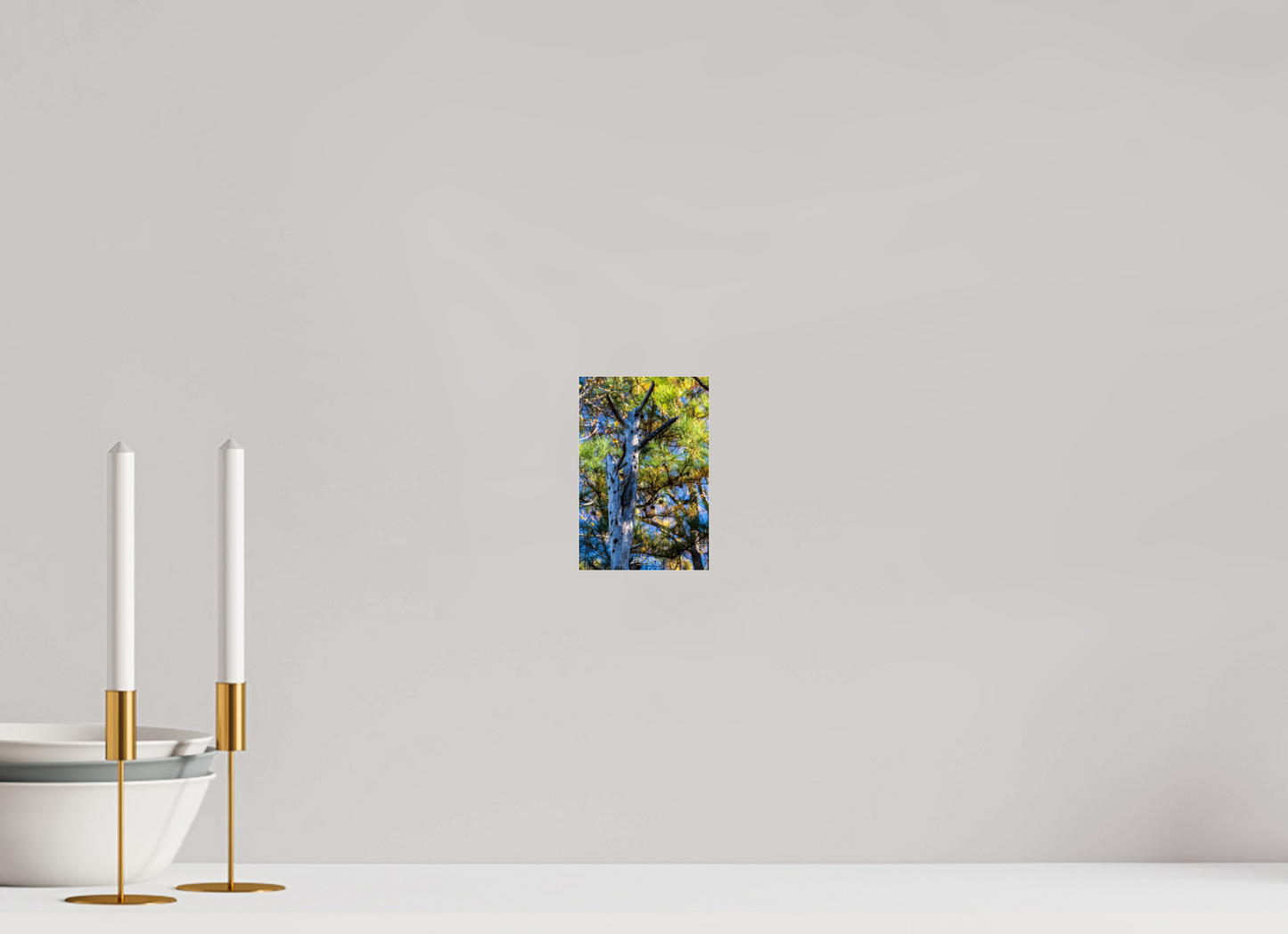 4 x 6″, Photo Print Under Acrylic Glass Zillas Zoom Image 252