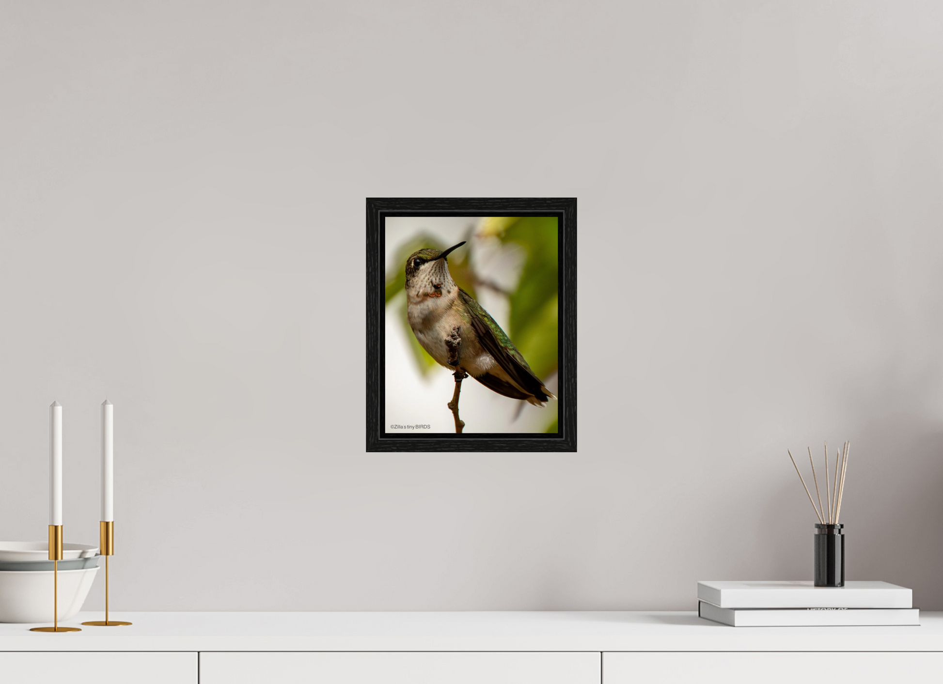 8 x 10″, Floater Frame Zillas Zoom Image 468