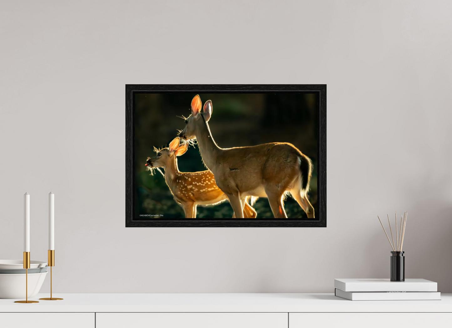 17.6 x 12″, Floater Frame Zillas zoom image 146