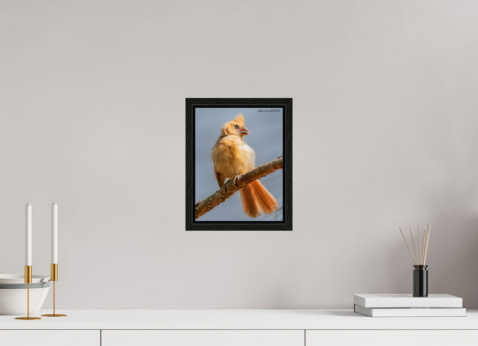 8 x 10.4″, Floater Frame Zillas Zoom Image 508