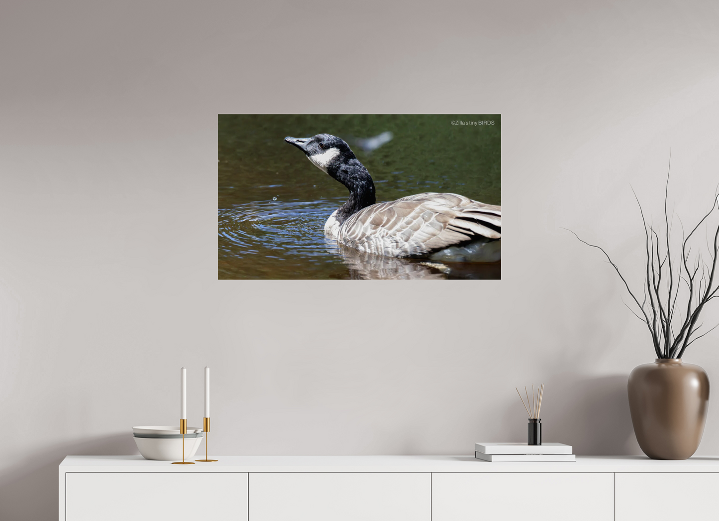 34.2 x 20″, Photo Print Under Acrylic Glass Zillas Zoom Image 315