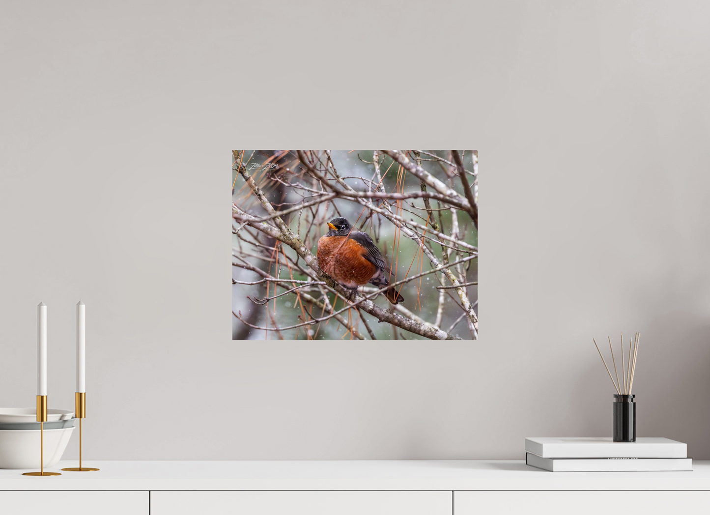 15.5 x 12″, Photo Print On Fuji Crystal DP II Zillas Zoom Image 337