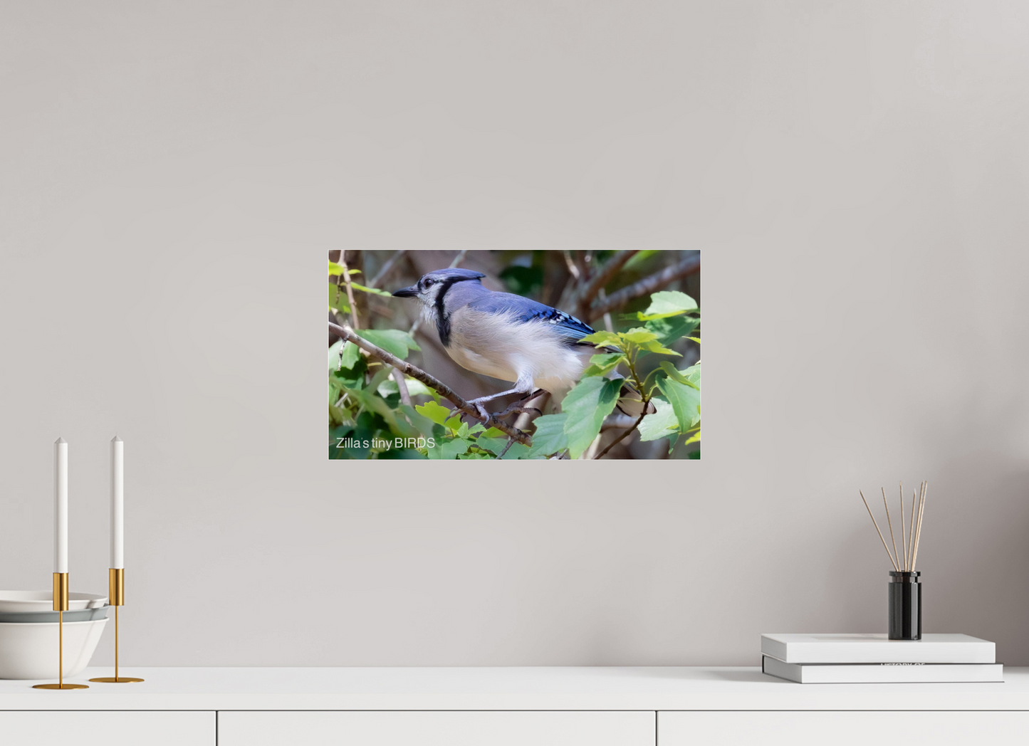 16 x 9″, Photo Print Under Acrylic Glass Zillas Zoom Image 377