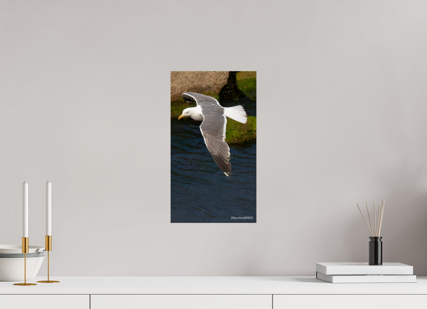 9 x 16″, Photo Print On Fuji Crystal DP II Zillas Zoom Image 476
