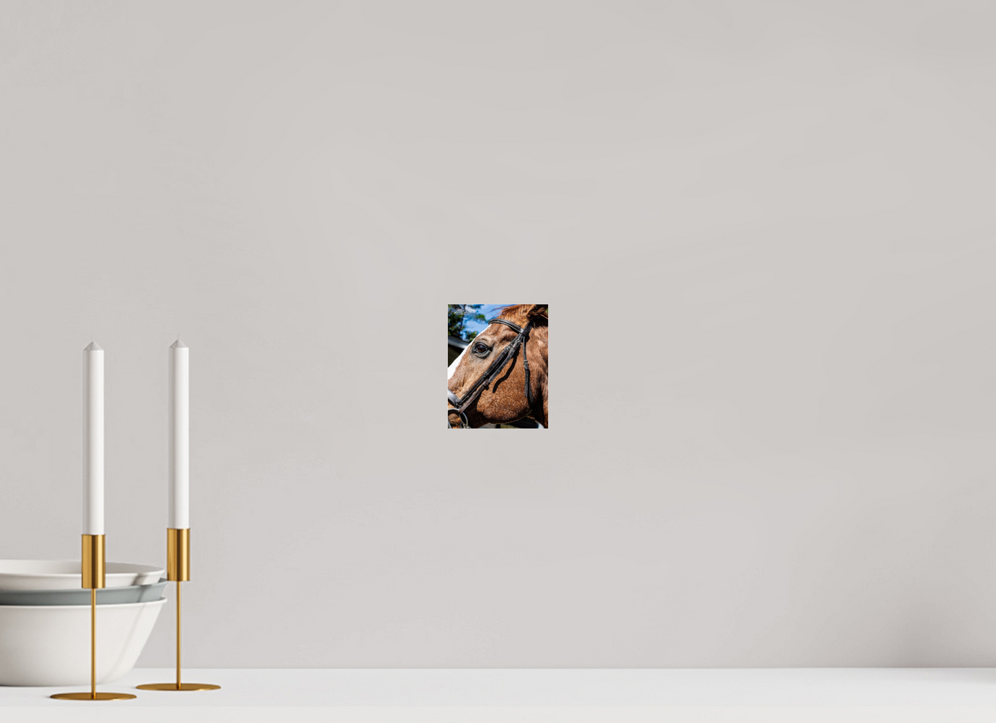 4 x 5″, Photo Print Under Acrylic Glass Zillas zoom image 149