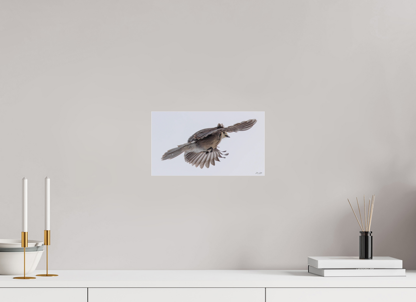 12 x 6.8″, Photo Print Under Acrylic Glass Zillas Zoom Image 352