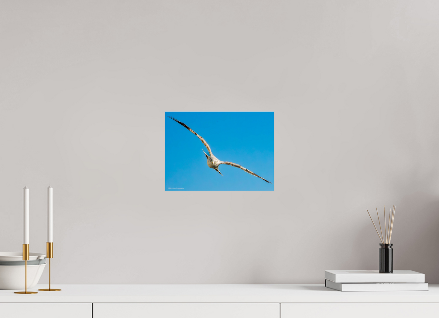 11 x 8″, Photo Print Under Acrylic Glass Zillas Zoom Image 365