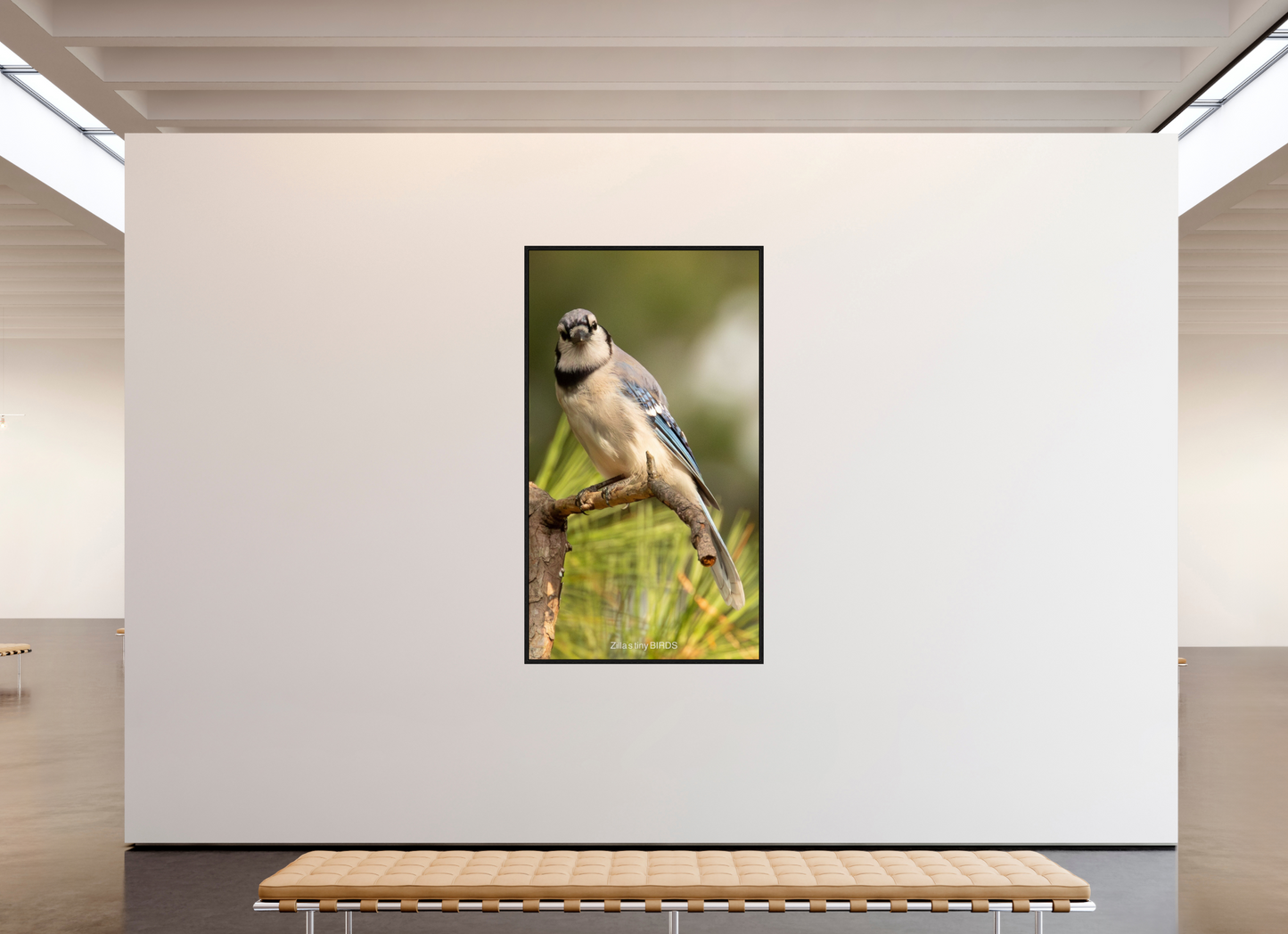 45 x 80″, Floater Frame Zillas Zoom Image 494