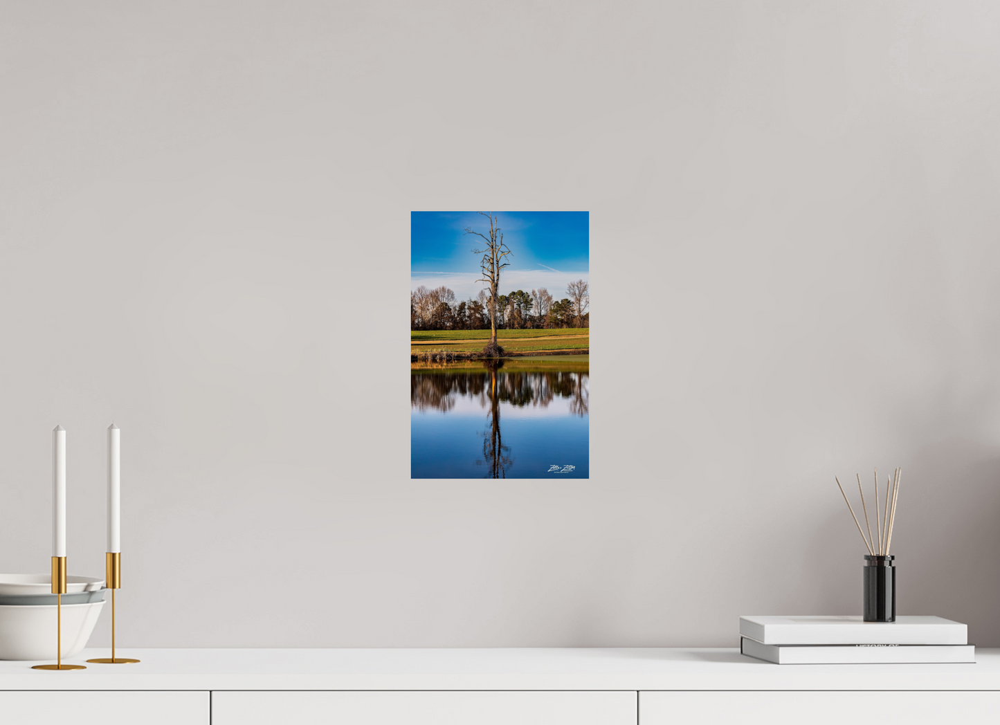8 x 12″, Photo Print On Fuji Crystal DP II Zillas Zoom Image 251