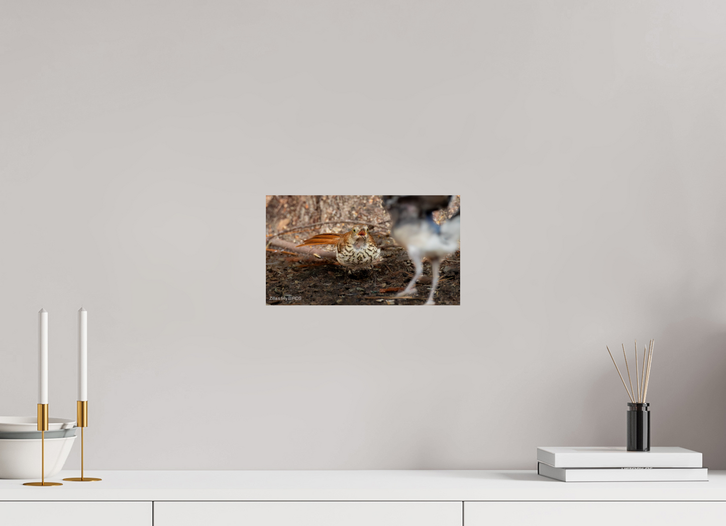 12 x 6.8″, Photo Print On Fuji Crystal DP II Zillas Zoom Image 383