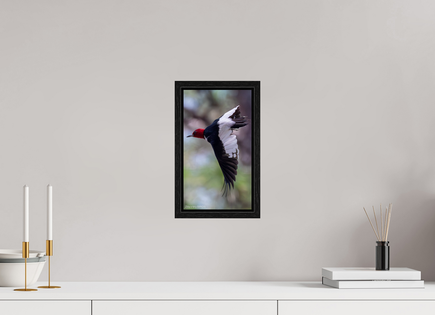 6.8 x 12″, Floater Frame Zillas Zoom Image 482