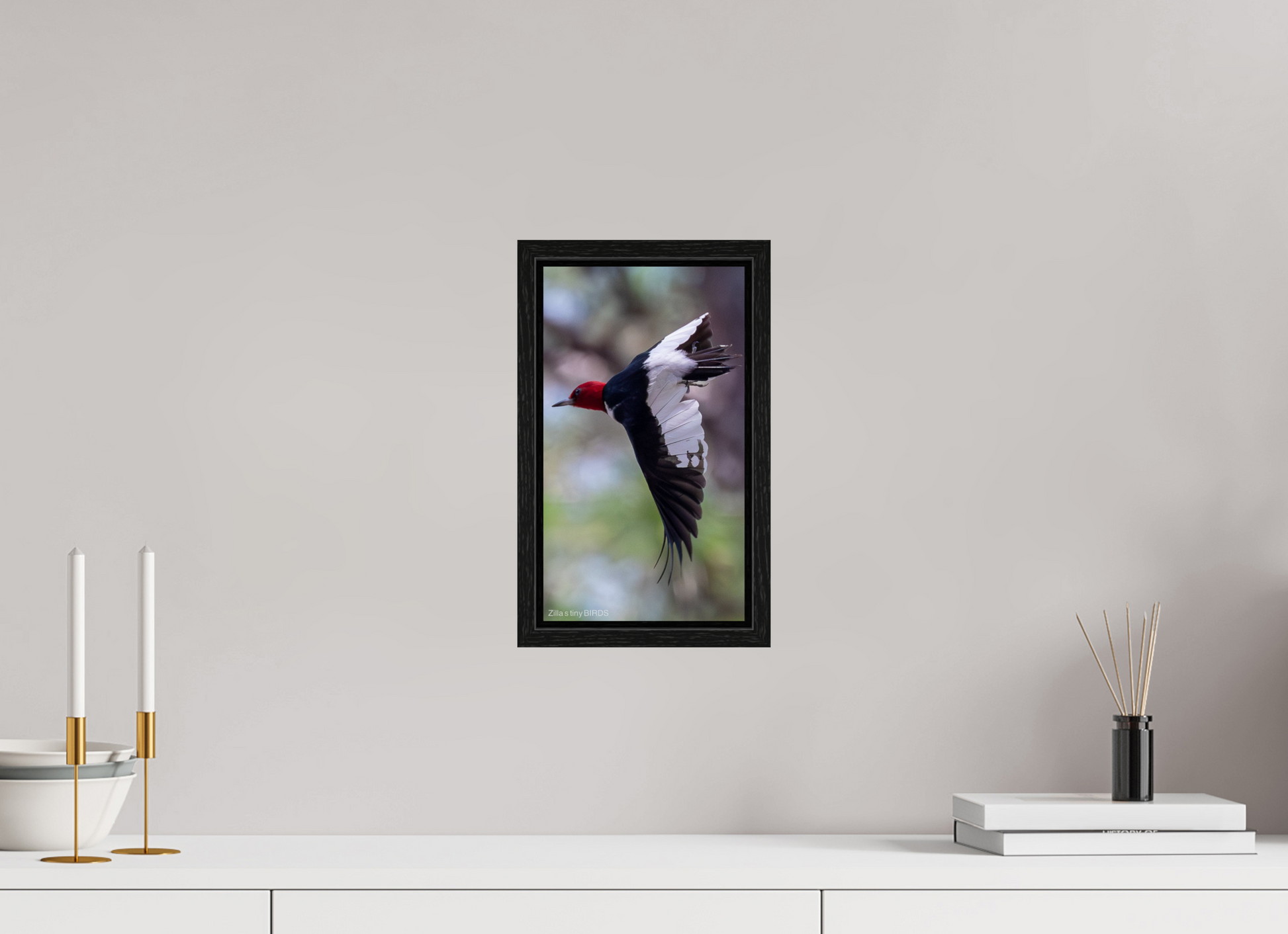 6.8 x 12″, Floater Frame Zillas Zoom Image 482