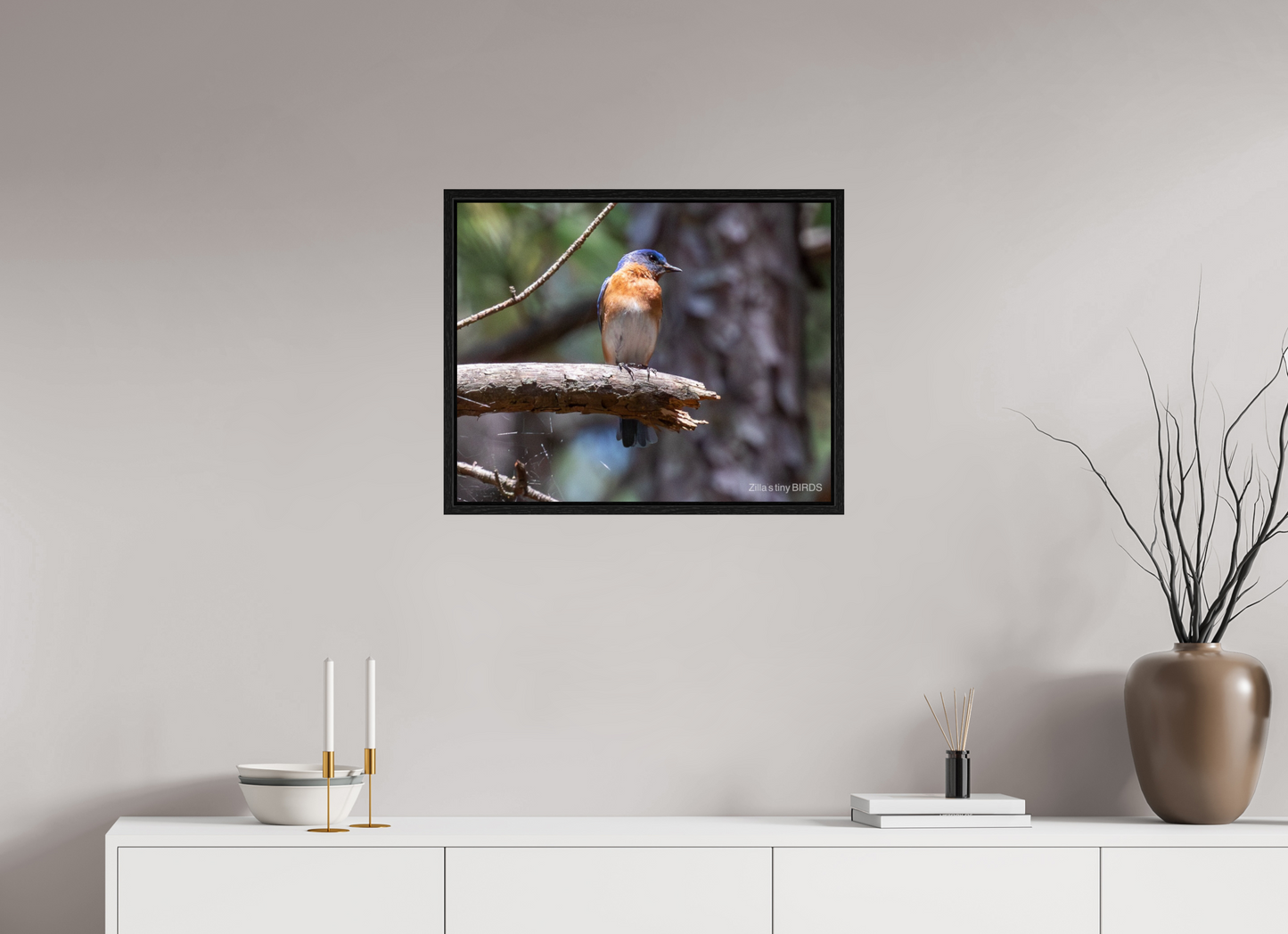 25 x 20″, Floater Frame Zillas Zoom Image 368