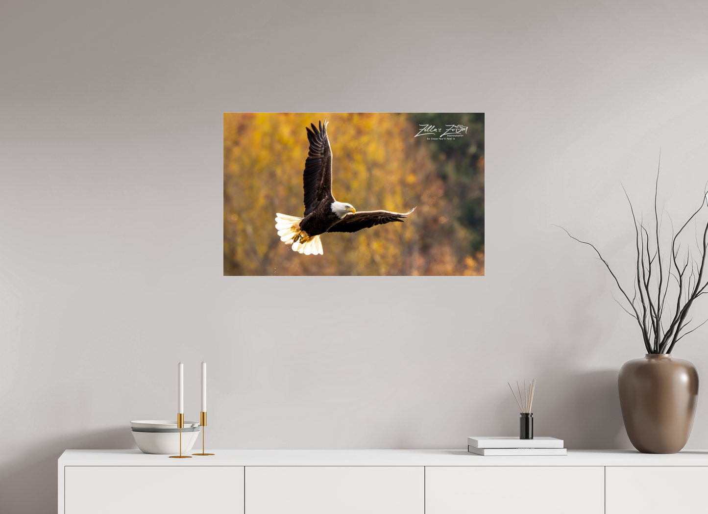 32 x 20″, Photo Print Under Acrylic Glass Zillas Zoom Image 272