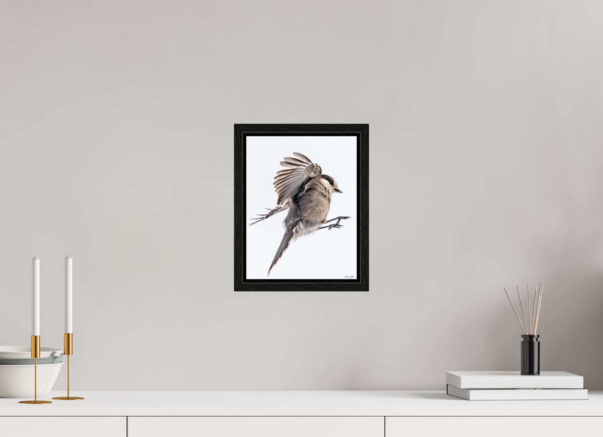 8 x 10.4″, Floater Frame Zillas Zoom Image 525