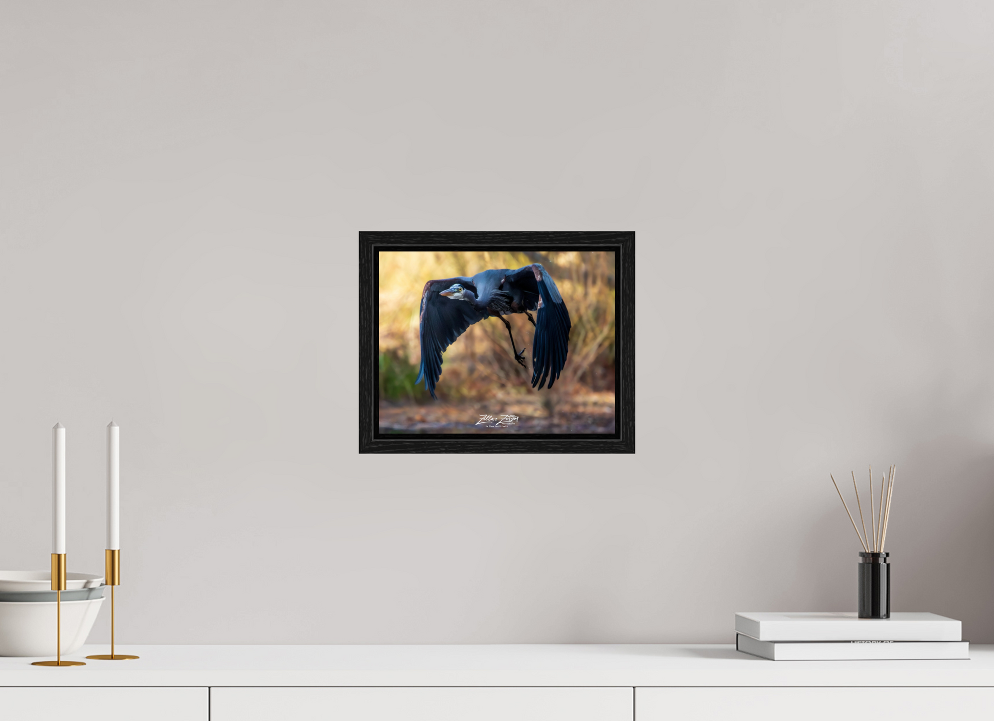 10.4 x 8″, Floater Frame Zillas Zoom Image 295