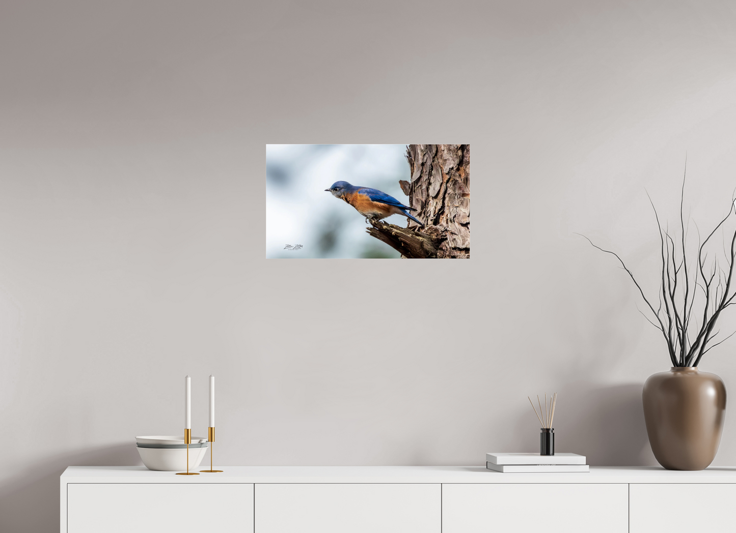 24 x 13.5″, Photo Print Under Acrylic Glass Zillas Zoom Image 346