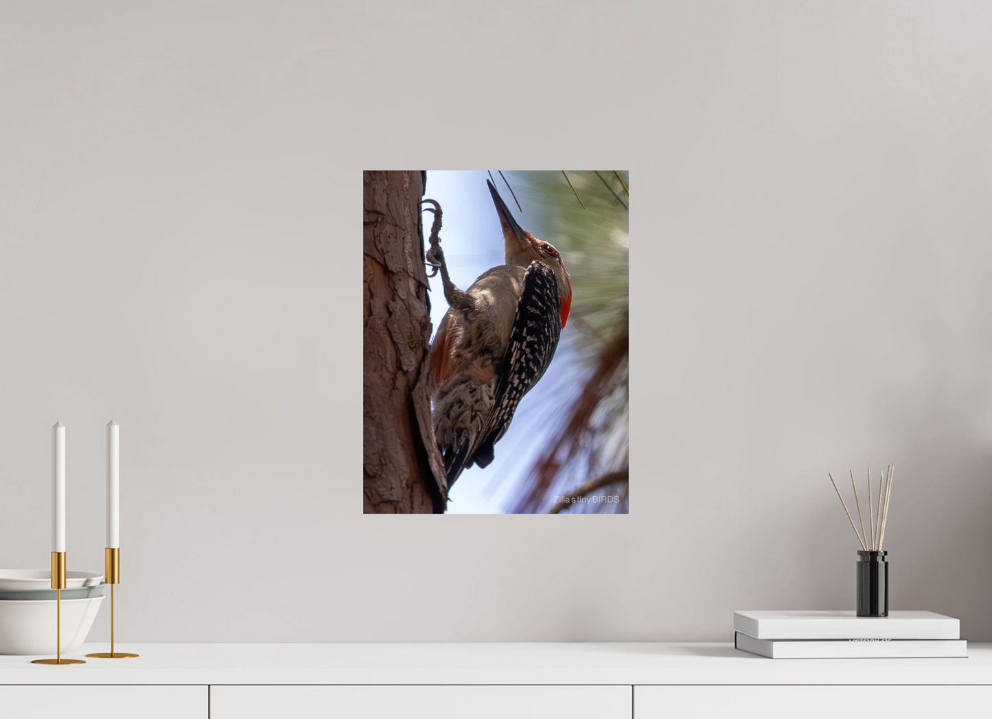 12 x 15.6″, Photo Print On Fuji Crystal DP II Zillas Zoom Image 474