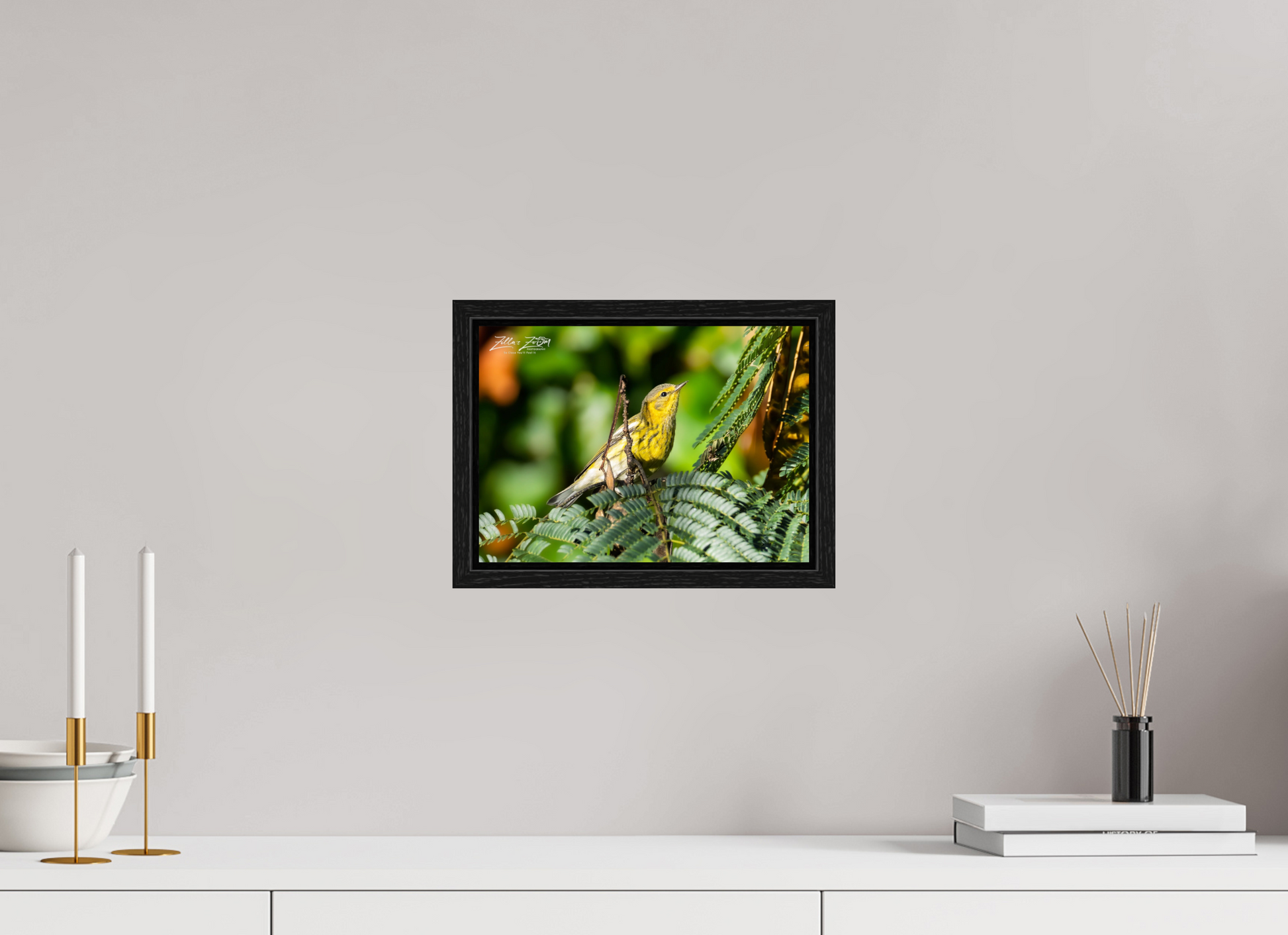11.2 x 8″, Floater Frame Zillas Zoom Image 290