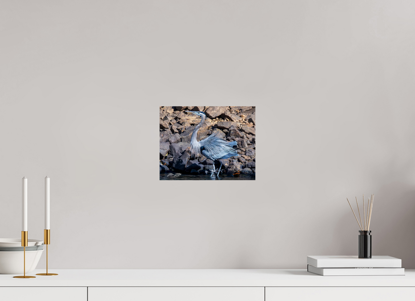 10.4 x 8″, Photo Print On Fuji Crystal DP II Zillas Zoom Image 293