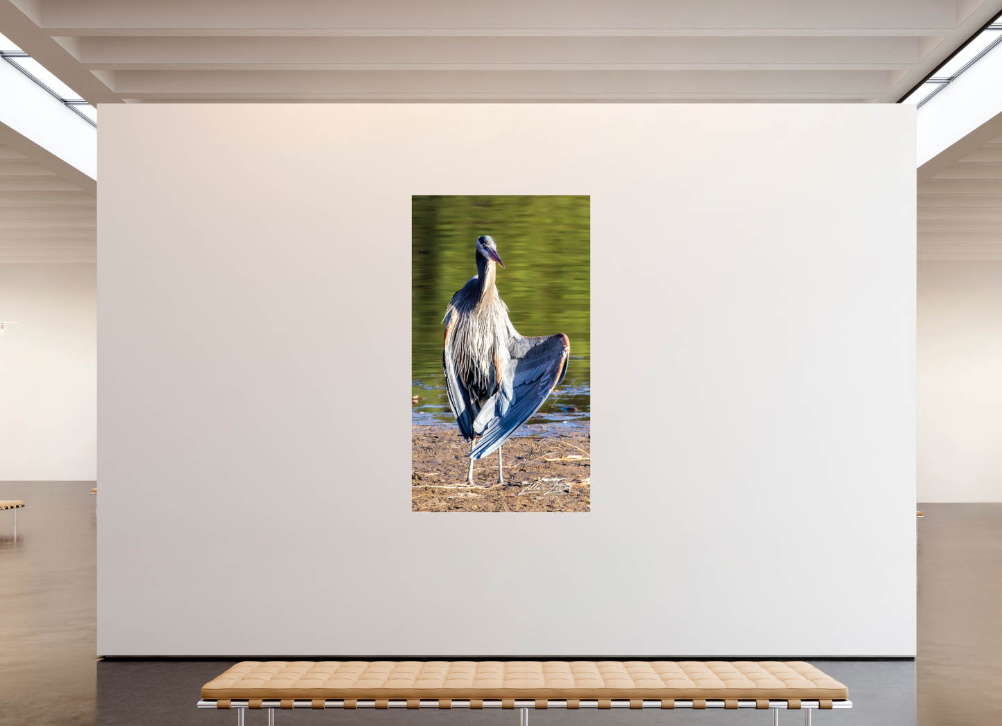 45 x 80″, Photo Print Under Acrylic Glass Zillas Zoom Image 411