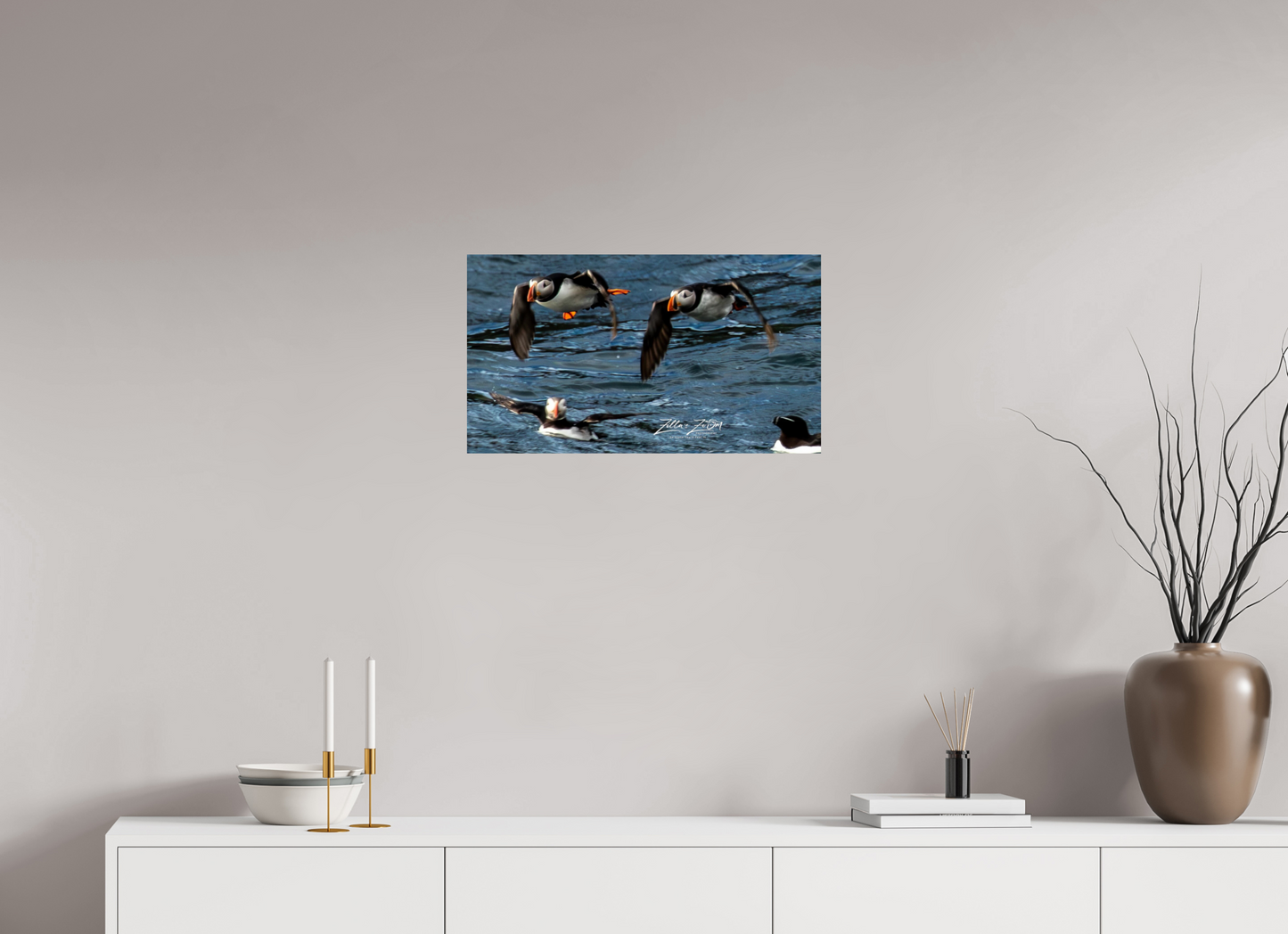 24 x 13.5″, Photo Print On Fuji Crystal DP II Zillas Zoom Image 340