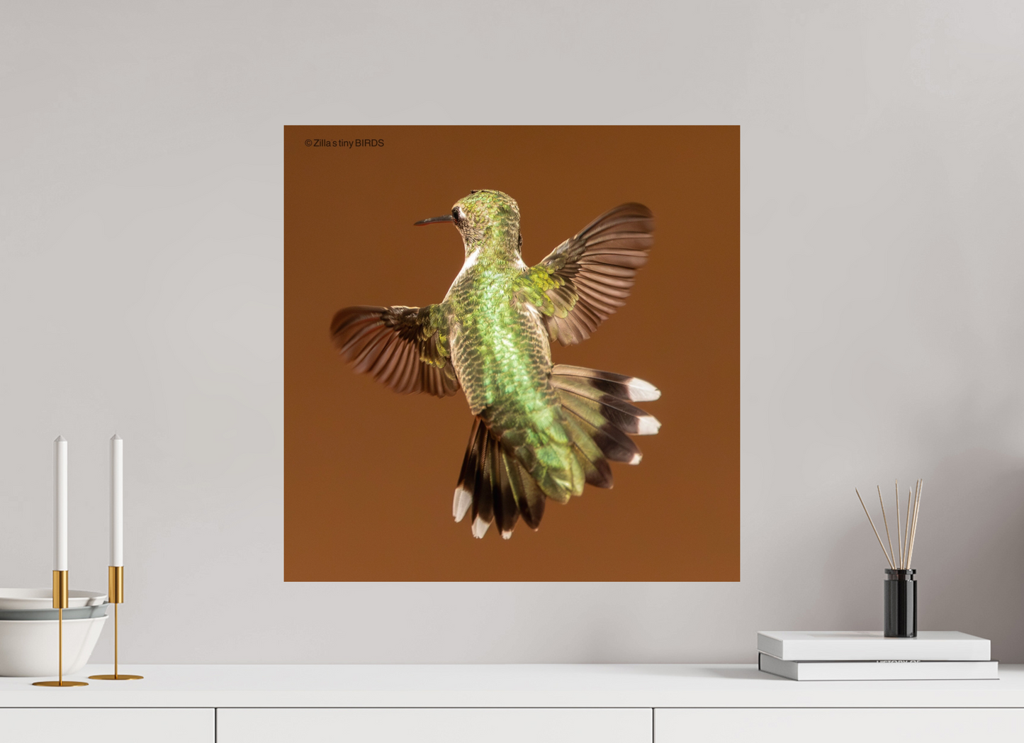 20 x 20″, Photo Print On Fuji Crystal DP II Zillas Zoom Image 338