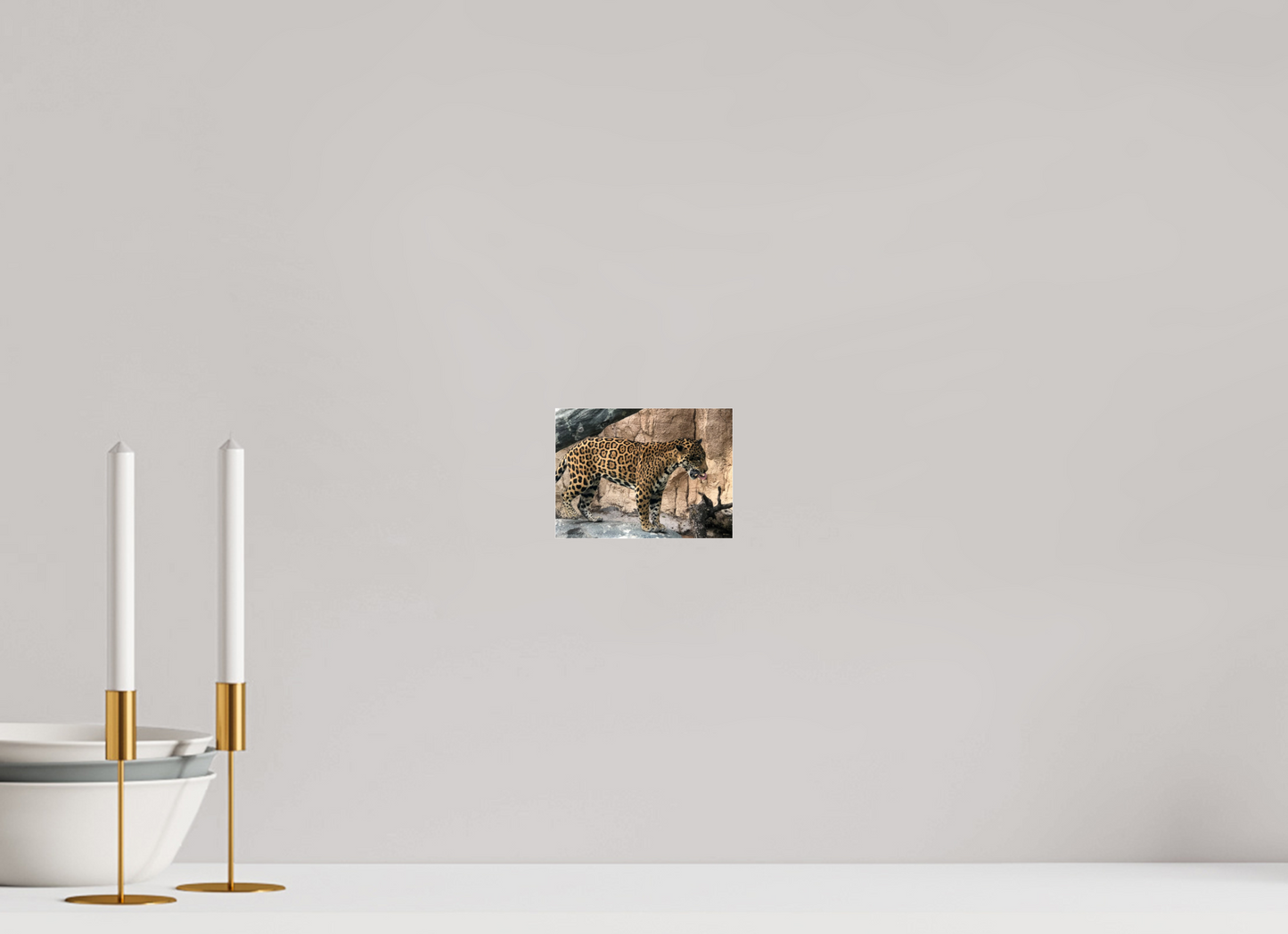 5.5 x 4″, Photo Print Under Acrylic Glass Zillas zoom image 137