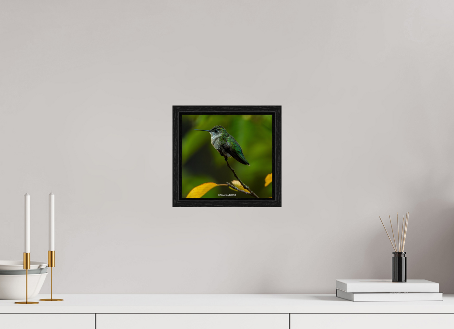 8.7 x 8″, Floater Frame Zillas Zoom Image 311