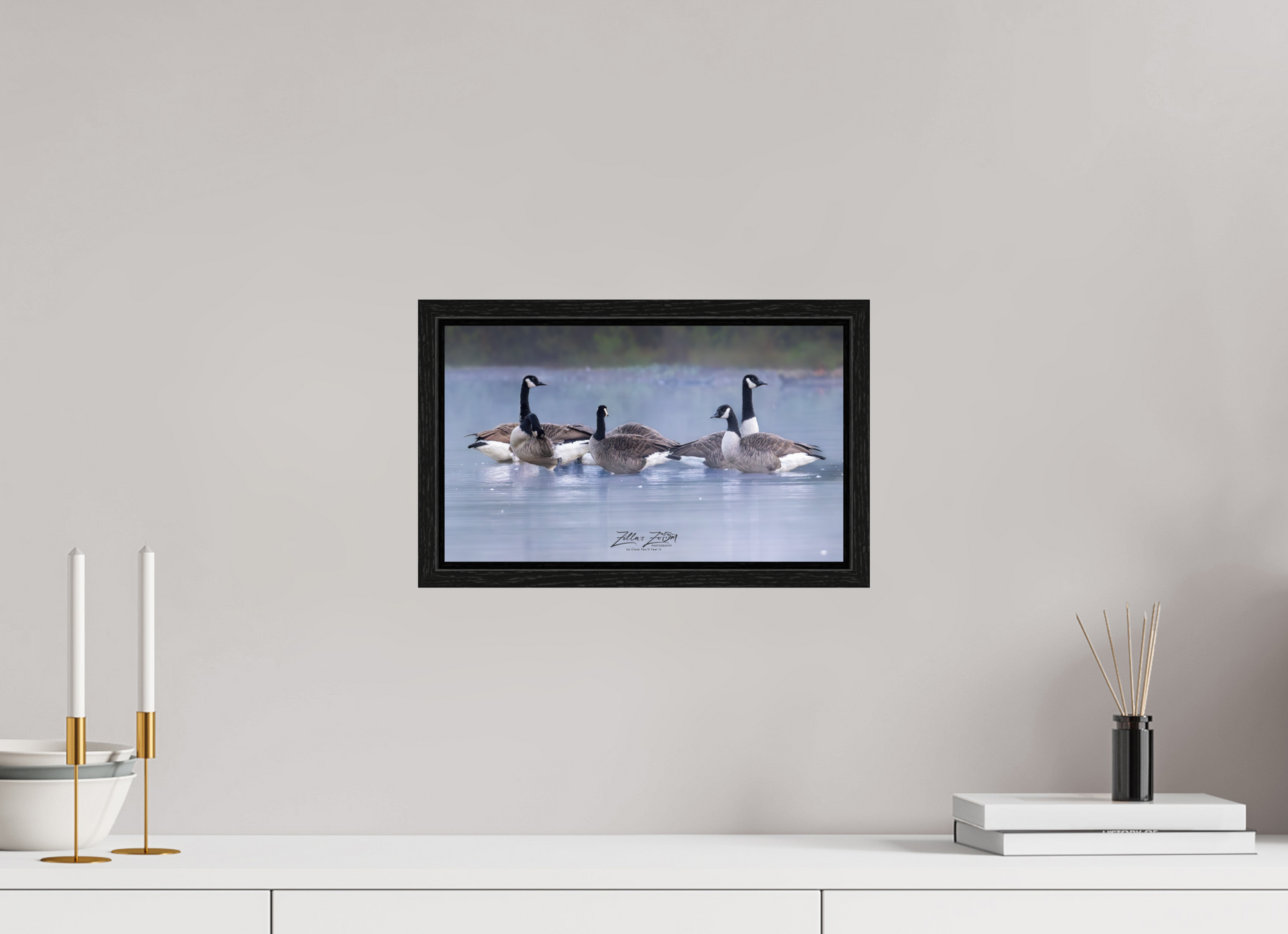 13.5 x 8″, Floater Frame Zillas Zoom Image 313