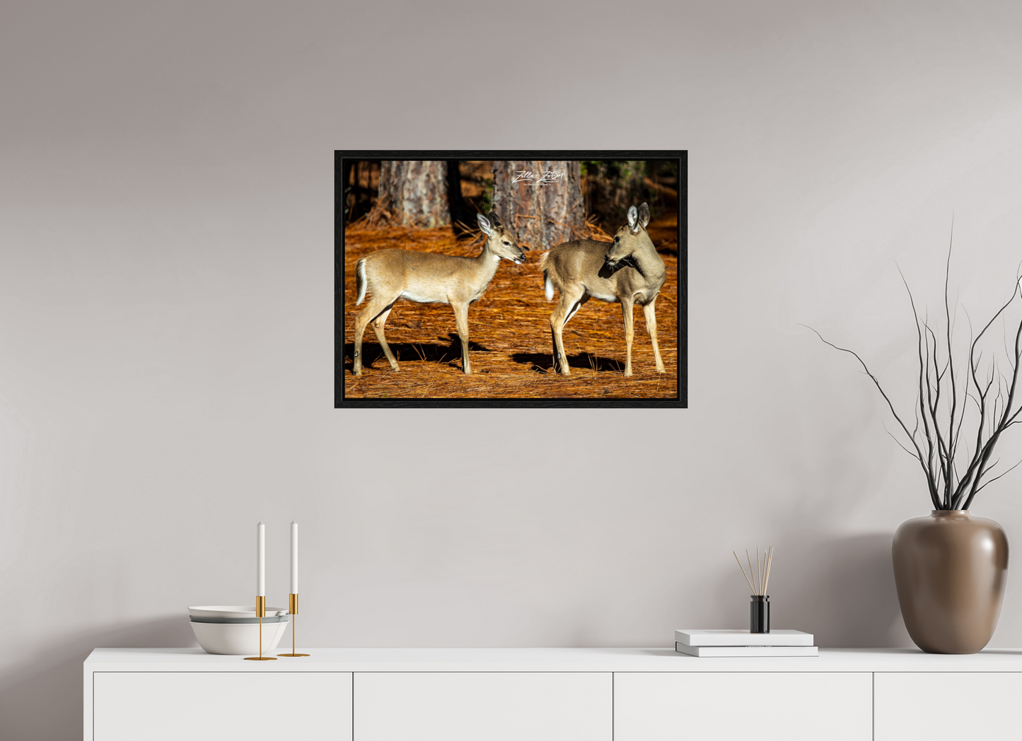 28 x 20″, Floater Frame Zillas zoom image 143