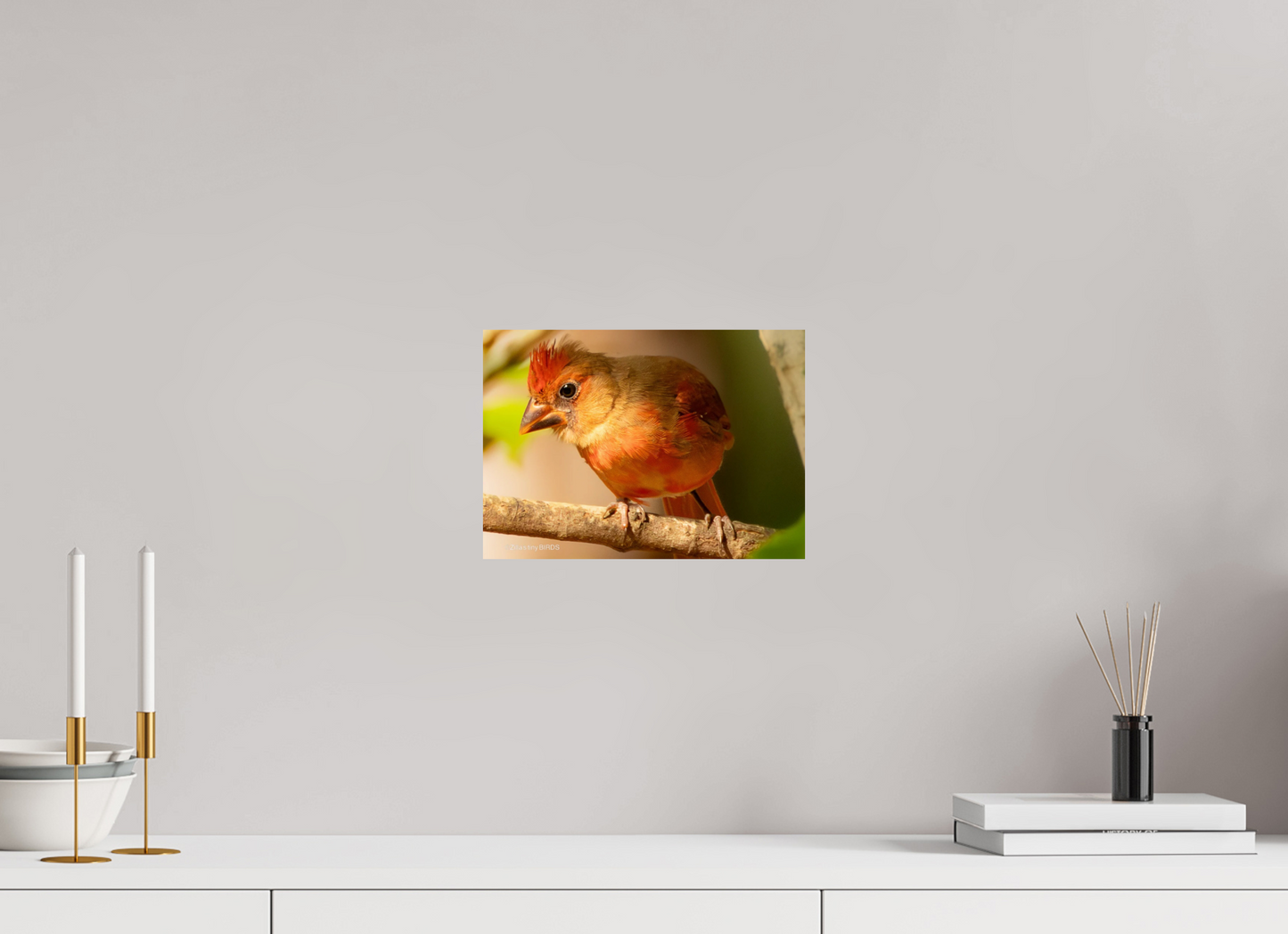 11.2 x 8″, Photo Print On Fuji Crystal DP II Zillas Zoom Image 316