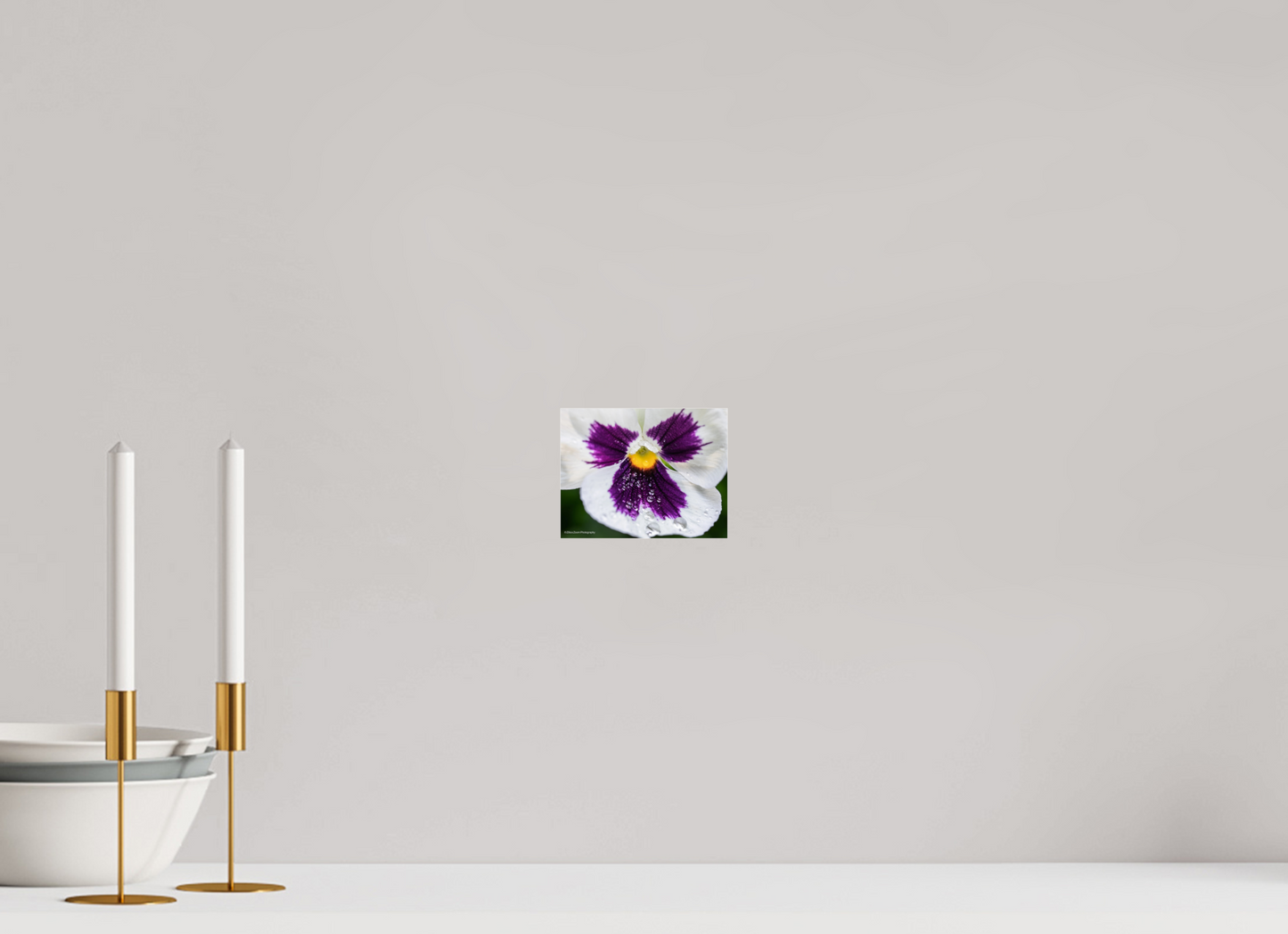 5.2 x 4″, Photo Print Under Acrylic Glass Zillas Zoom Image 98